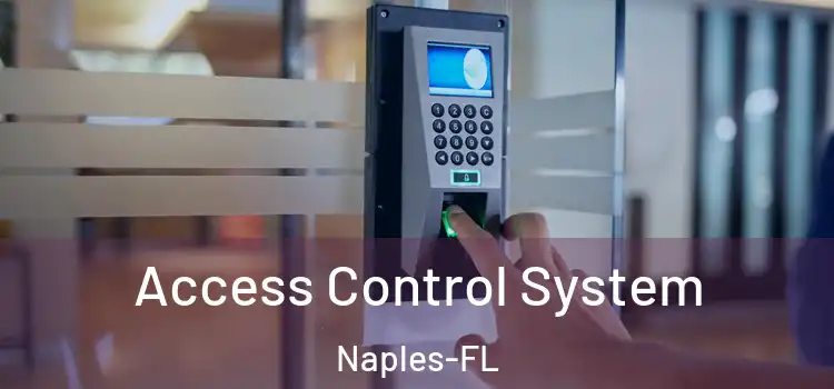  Access Control System Naples-FL