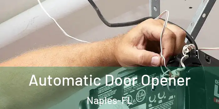 Automatic Door Opener Naples-FL