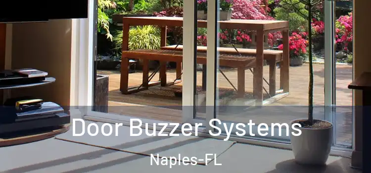 Door Buzzer Systems Naples-FL