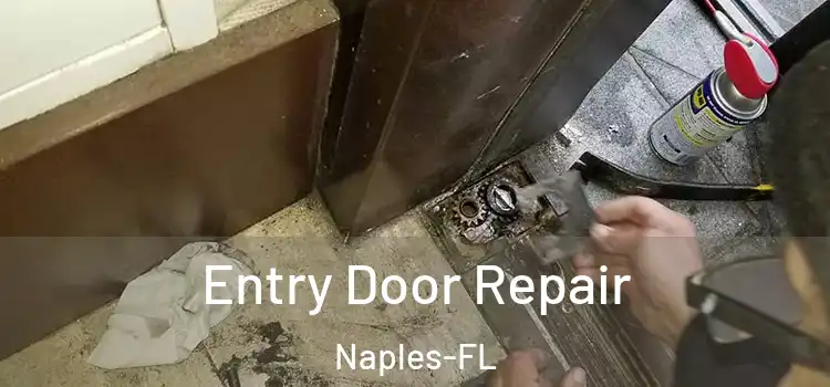  Entry Door Repair Naples-FL