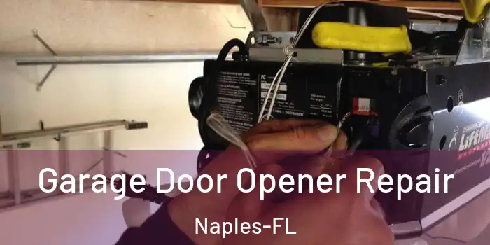 Garage Door Opener Repair Naples-FL