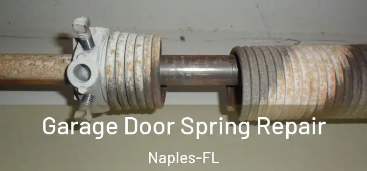  Garage Door Spring Repair Naples-FL