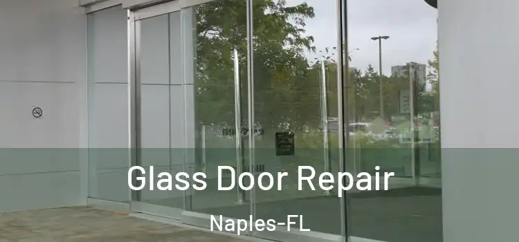  Glass Door Repair Naples-FL