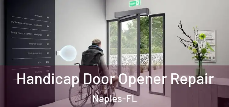  Handicap Door Opener Repair Naples-FL