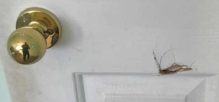 interior door hole repair Naples