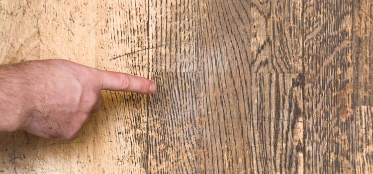 Wood Door Scratch Repair in Naples