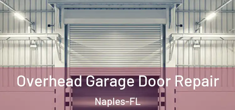  Overhead Garage Door Repair Naples-FL